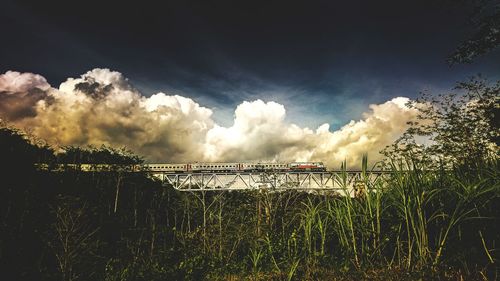 Panoramic view of field against sky