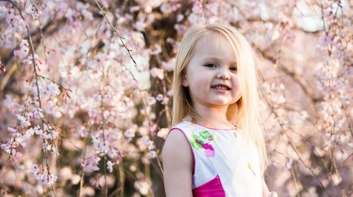 Portrait of cute girl standing against cherry blossom at park