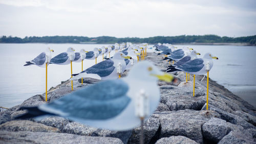 Panoramic view of rocks on beach against sky