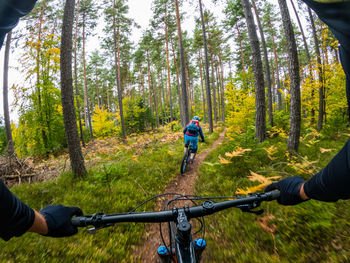 Man riding bicycle on road amidst trees in forest