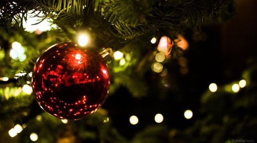 Close-up of christmas tree against blurred background