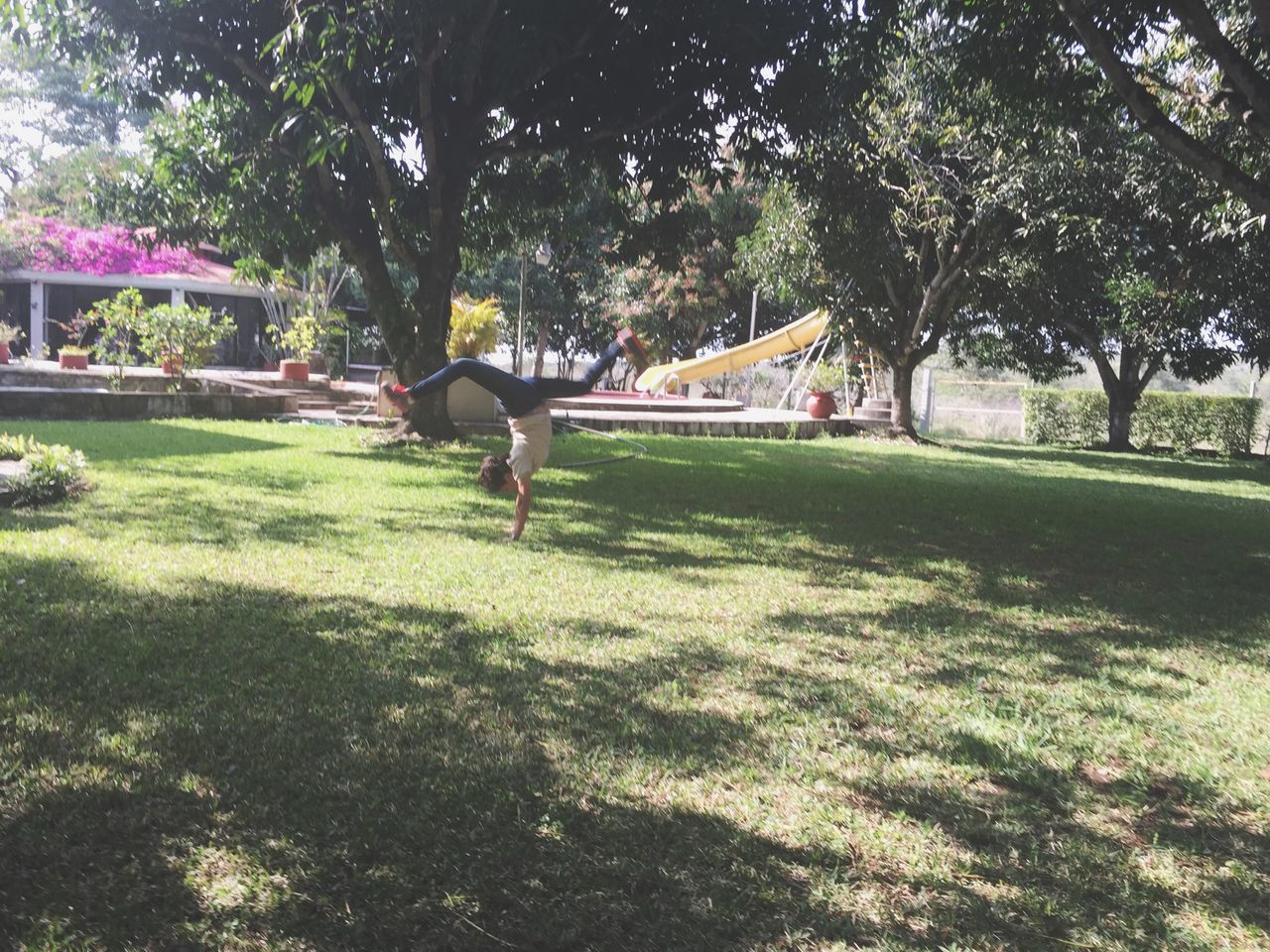 tree, grass, park - man made space, growth, built structure, green color, sunlight, lawn, architecture, park, branch, shadow, building exterior, nature, tree trunk, footpath, day, tranquility, outdoors, field