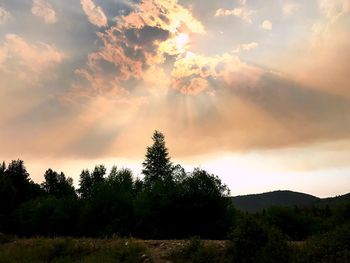 Scenic view of silhouette trees against sky during sunset