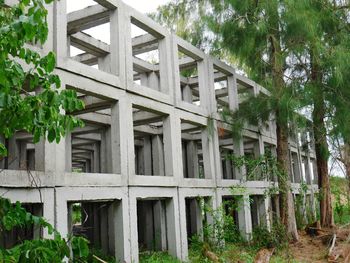 Low angle view of old building in forest