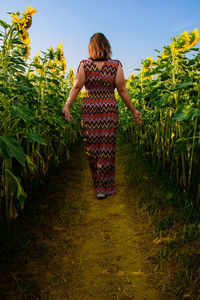 Rear view of woman walking in farm