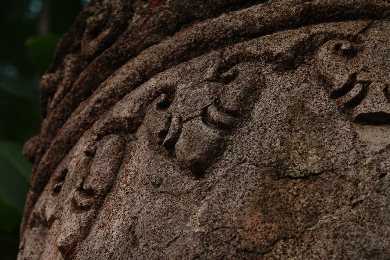CLOSE-UP OF CARVING ON TREE TRUNK WITH STONE