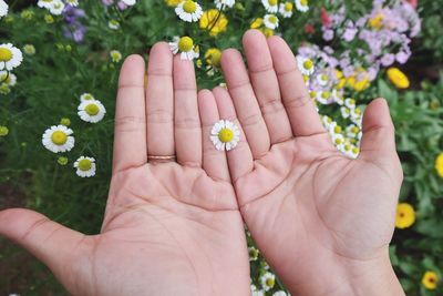 Close-up of hands holding flowers