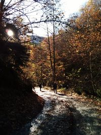 People walking on footpath amidst trees during autumn