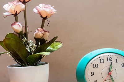 Close-up of flower pot on table against wall at home