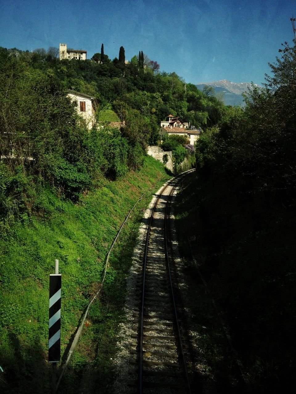 the way forward, tree, vanishing point, built structure, transportation, diminishing perspective, sky, architecture, leading, narrow, railing, railroad track, high angle view, growth, tranquility, plant, walkway, long, nature, outdoors