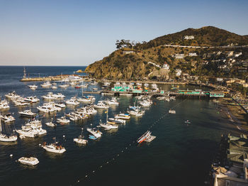 Boats moored in harbor against clear sky