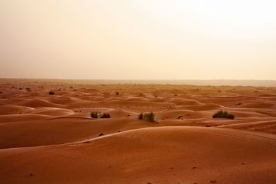 Scenic view of sand dunes against sky