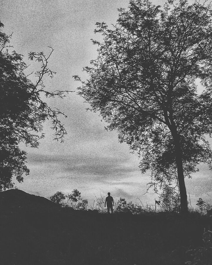 Alone Tree Sky Nature Outdoors Low Angle View Beauty In Nature Lonely Place  Lonely Man Eye4photography  Cloud - Sky The Way Forward Tree Peace ✌ EyeEmNewHere EyeEm Nature Lover EyeEm Calm And Quiet Love For This World 🌎 🌎 🌎 🌎 🌎 Natural Photography Beauty In Nature Shadow Lovelyview The Week On EyeEm