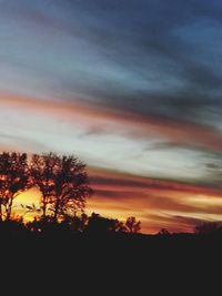 Silhouette of trees at sunset