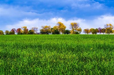 Scenic view of grassy field against cloudy sky