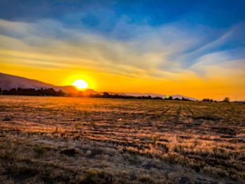 Scenic view of field against sky during sunset