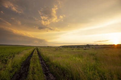 Scenic view of field against sky during sunset