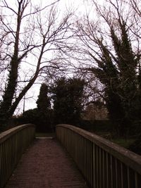 View of trees against sky