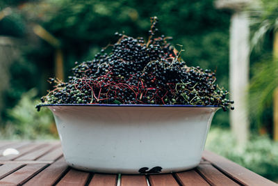 Close-up of potted plant on table