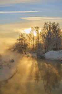 Trees by river against sky during sunset