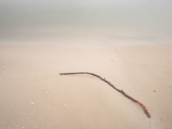 High angle view of wet sand on beach