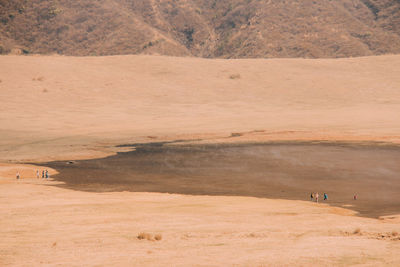 Scenic view of landscape