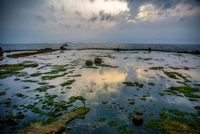 Scenic view of sea against sky