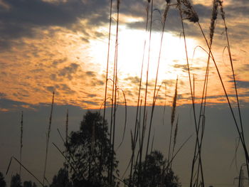 Clouds in sky at sunset
