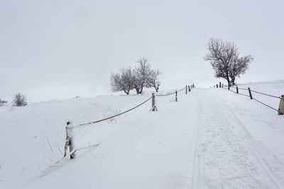 Snow covered land and trees against sky