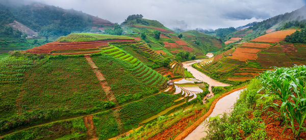 Scenic view of rural landscape