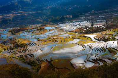High angle view of river amidst trees