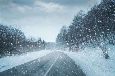 Road amidst trees against sky during winter