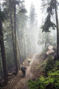 High angle view of male friends mountain biking in forest during foggy weather