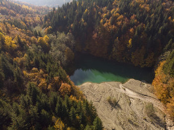 High angle view of trees on mountain during autumn