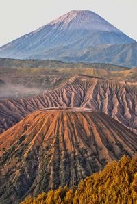 Scenic view of landscape