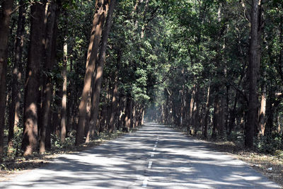 Road amidst trees in forest