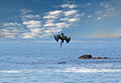 Cormorant diving into sea against sky
