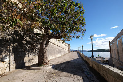 Footpath amidst trees and buildings against blue sky