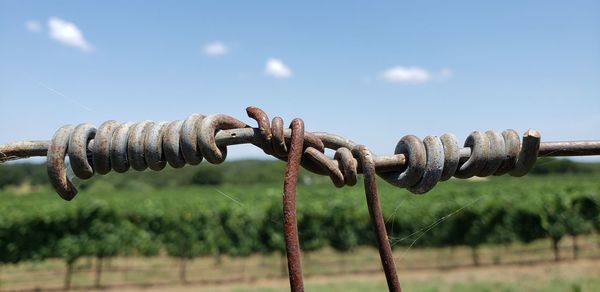 Close-up of barbed wire fence against sky