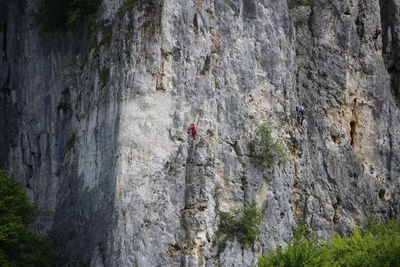 Low angle view of man climbing on rock