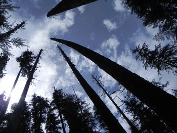 Low angle view of cloudy sky