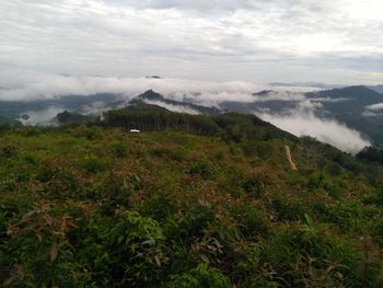 Scenic view of landscape against sky