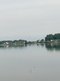 Seagull flying over lake against sky
