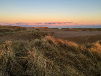 Scenic view of landscape at sunset