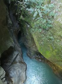 Scenic view of waterfall