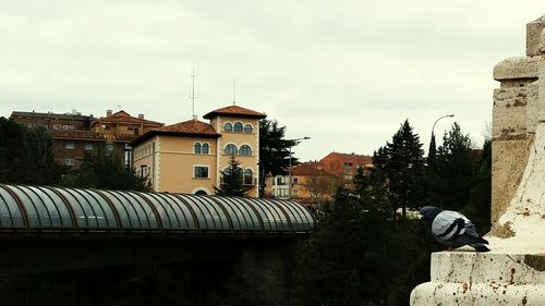 Residential buildings against sky