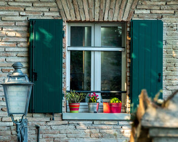 Potted plants on window of building