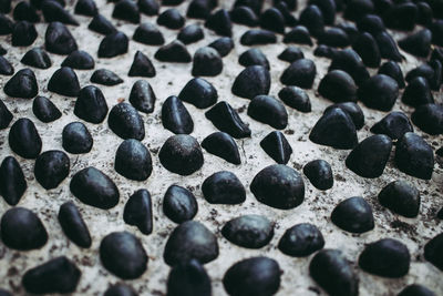 Stepping stones in a park