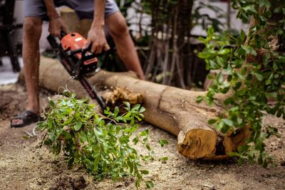 Man working on plant