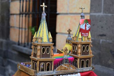 Close-up of plant against white background